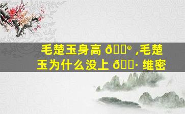 毛楚玉身高 💮 ,毛楚玉为什么没上 🌷 维密